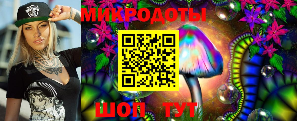 Конаково  Псилоцибиновые грибы мицелий  Вход с VPN  купить наркотик  Псилоцибиновые грибы GOLDEN TEACHER 